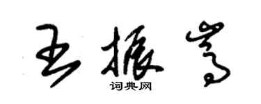 朱锡荣王振嵩草书个性签名怎么写