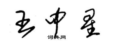 朱锡荣王中星草书个性签名怎么写