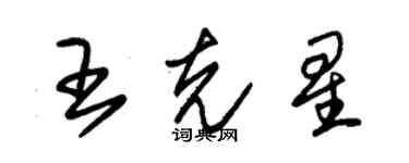 朱锡荣王克星草书个性签名怎么写