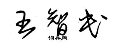 朱锡荣王智民草书个性签名怎么写