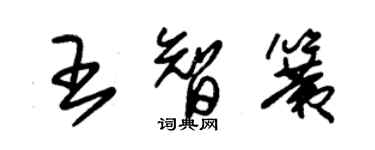 朱锡荣王智簧草书个性签名怎么写