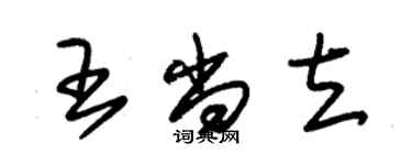 朱锡荣王尚立草书个性签名怎么写
