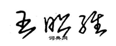 朱锡荣王昭维草书个性签名怎么写
