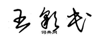 朱锡荣王彩民草书个性签名怎么写