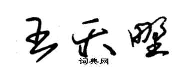 朱锡荣王夭野草书个性签名怎么写