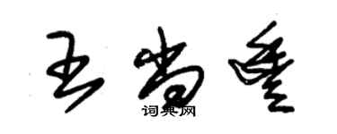 朱锡荣王尚丰草书个性签名怎么写