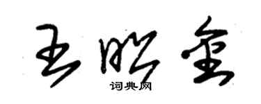 朱锡荣王昭金草书个性签名怎么写