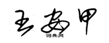 朱锡荣王安甲草书个性签名怎么写