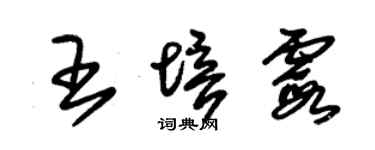 朱锡荣王培霞草书个性签名怎么写