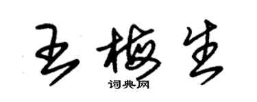 朱锡荣王梅生草书个性签名怎么写