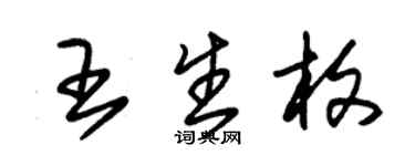 朱锡荣王生枚草书个性签名怎么写