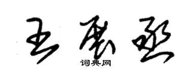 朱锡荣王展丞草书个性签名怎么写