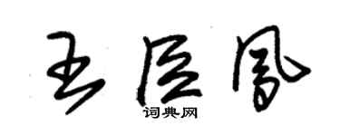 朱锡荣王臣凤草书个性签名怎么写