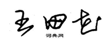 朱锡荣王田花草书个性签名怎么写