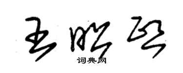 朱锡荣王昭熙草书个性签名怎么写