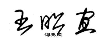 朱锡荣王昭宜草书个性签名怎么写