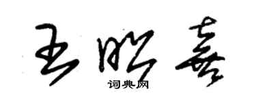 朱锡荣王昭喜草书个性签名怎么写