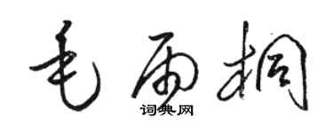 骆恒光毛雨桐草书个性签名怎么写