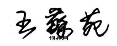朱锡荣王苏苑草书个性签名怎么写