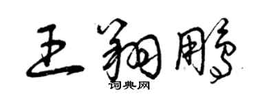 曾庆福王翔鹏草书个性签名怎么写