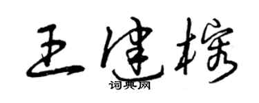 曾庆福王健榕草书个性签名怎么写