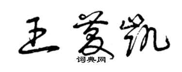 曾庆福王庆凯草书个性签名怎么写