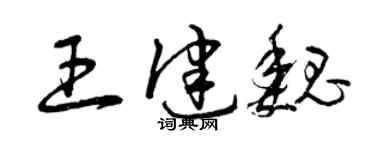 曾庆福王健魏草书个性签名怎么写