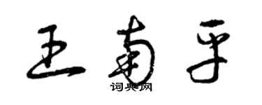 曾庆福王南平草书个性签名怎么写