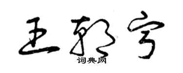 曾庆福王朝宁草书个性签名怎么写