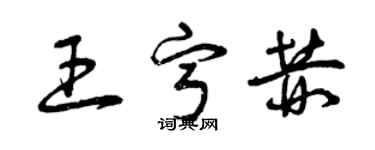 曾庆福王宁赫草书个性签名怎么写