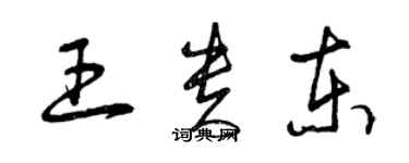 曾庆福王贵东草书个性签名怎么写
