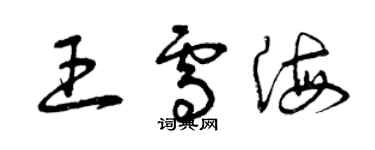 曾庆福王雪海草书个性签名怎么写