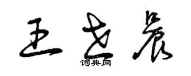 曾庆福王世晨草书个性签名怎么写