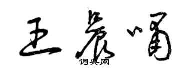 曾庆福王晨啸草书个性签名怎么写