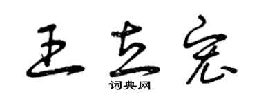 曾庆福王立宏草书个性签名怎么写