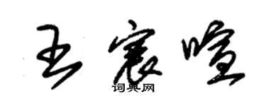 朱锡荣王宸喧草书个性签名怎么写