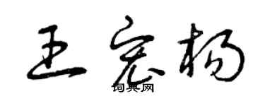 曾庆福王宏杨草书个性签名怎么写