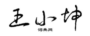 曾庆福王小坤草书个性签名怎么写