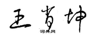 曾庆福王肖坤草书个性签名怎么写