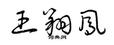 曾庆福王翔凤草书个性签名怎么写