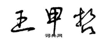 曾庆福王甲哲草书个性签名怎么写