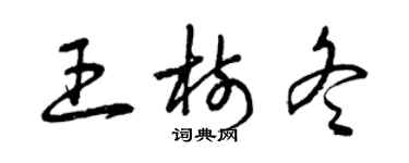 曾庆福王树冬草书个性签名怎么写