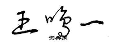 曾庆福王鸣一草书个性签名怎么写