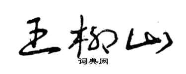 曾庆福王柳山草书个性签名怎么写