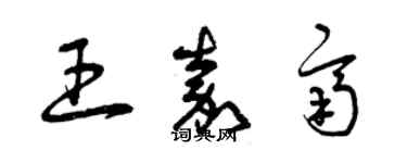 曾庆福王嘉齐草书个性签名怎么写