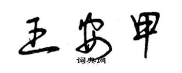 曾庆福王安甲草书个性签名怎么写