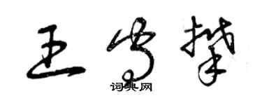 曾庆福王守攀草书个性签名怎么写
