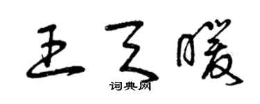 曾庆福王天暖草书个性签名怎么写