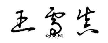 曾庆福王雪真草书个性签名怎么写