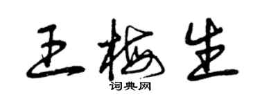 曾庆福王梅生草书个性签名怎么写